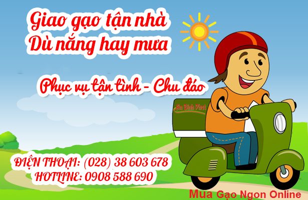 mua gạo online