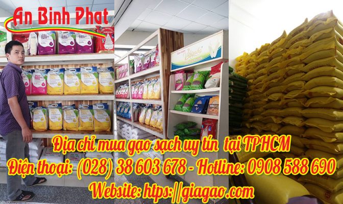 địa chỉ mua gạo sạch