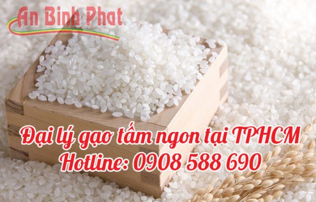 đại lý gạo tấm tại TPHCM