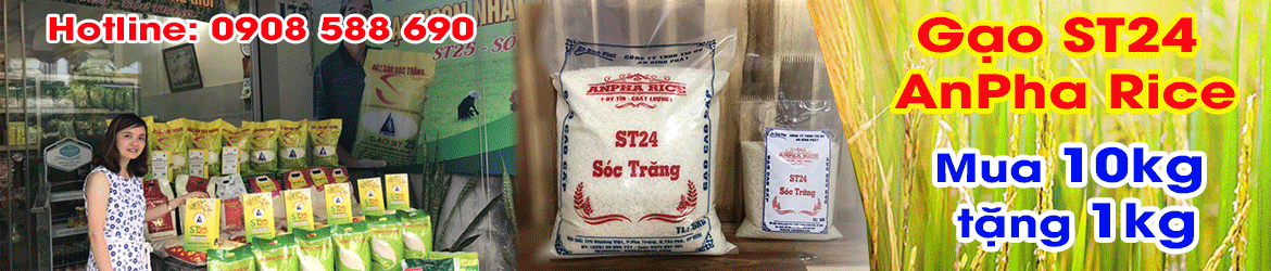 khuyến mãi mua gạo ST24 AnPha Rice