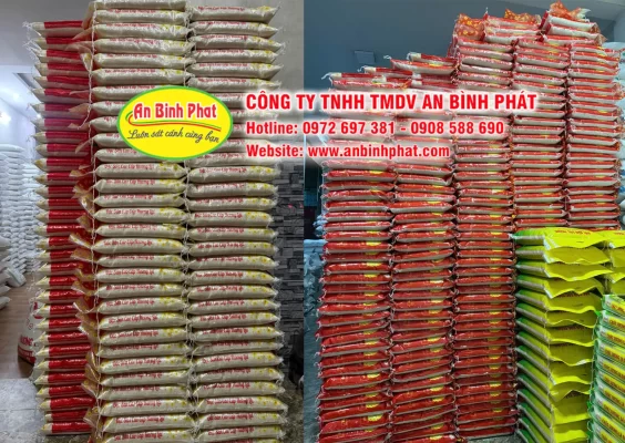 Kho gạo, vựa gạo tại TPHCM An Bình Phát