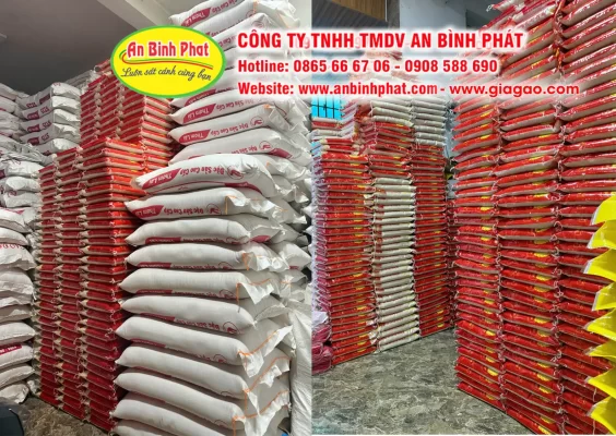 Kho gạo, vựa gạo tại TPHCM An Bình Phát