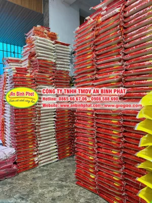 Kho gạo, vựa gạo tại TPHCM An Bình Phát