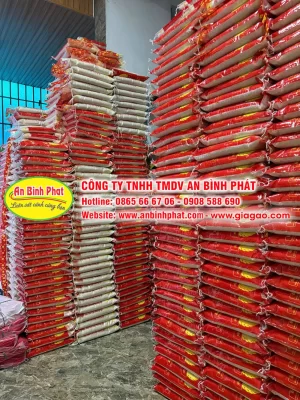 Kho gạo, vựa gạo tại TPHCM An Bình Phát